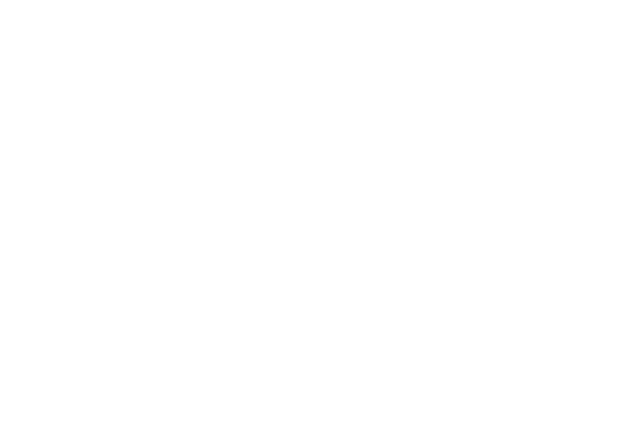 Logo Gannicus Positivo